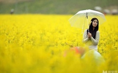 亚洲国产综合人成综合网站00